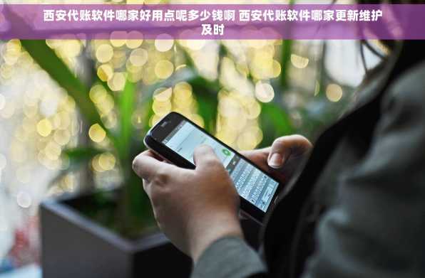 西安代账软件哪家好用点呢多少钱啊 西安代账软件哪家更新维护及时