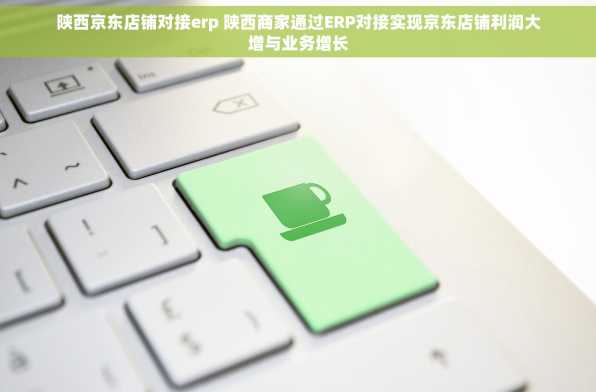 陕西京东店铺对接erp 陕西商家通过ERP对接实现京东店铺利润大增与业务增长