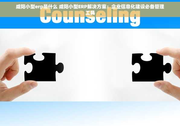 咸阳小型erp是什么 咸阳小型ERP解决方案：企业信息化建设必备管理工具