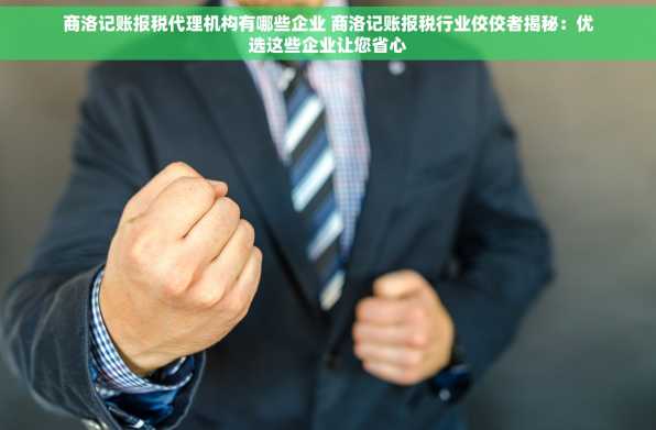 商洛记账报税代理机构有哪些企业 商洛记账报税行业佼佼者揭秘：优选这些企业让您省心