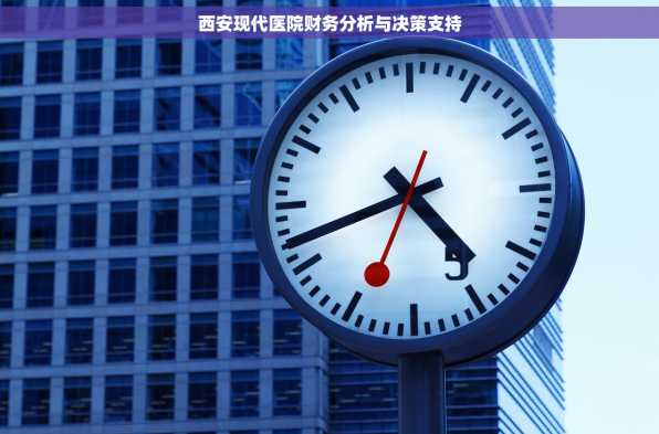 西安现代医院财务分析与决策支持