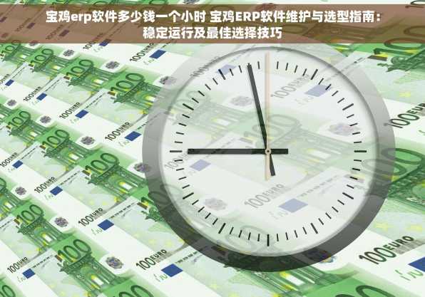 宝鸡erp软件多少钱一个小时 宝鸡ERP软件维护与选型指南：稳定运行及最佳选择技巧