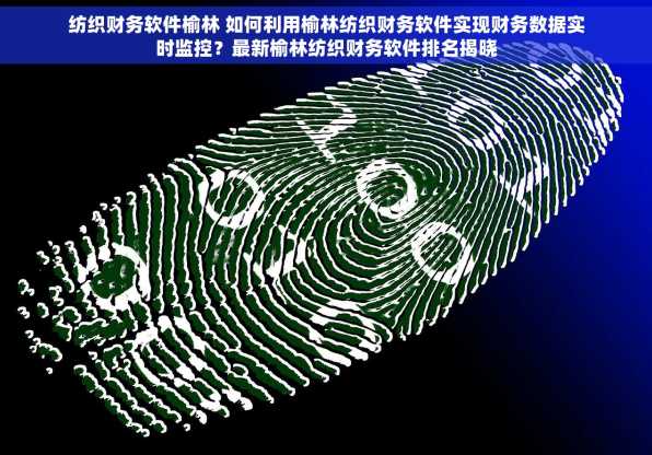 纺织财务软件榆林 如何利用榆林纺织财务软件实现财务数据实时监控？最新榆林纺织财务软件排名揭晓