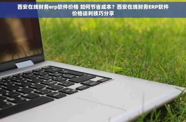 西安在线财务erp软件价格 如何节省成本？西安在线财务ERP软件价格谈判技巧分享
