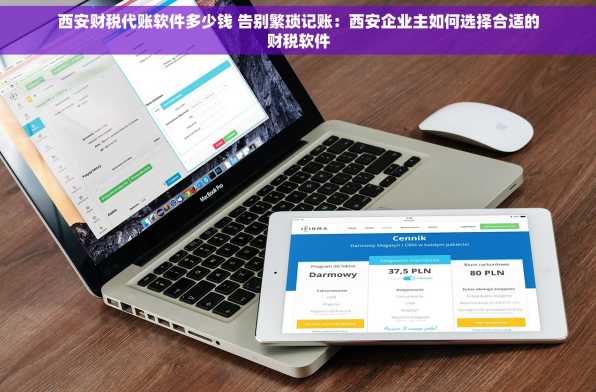 西安财税代账软件多少钱 告别繁琐记账：西安企业主如何选择合适的财税软件