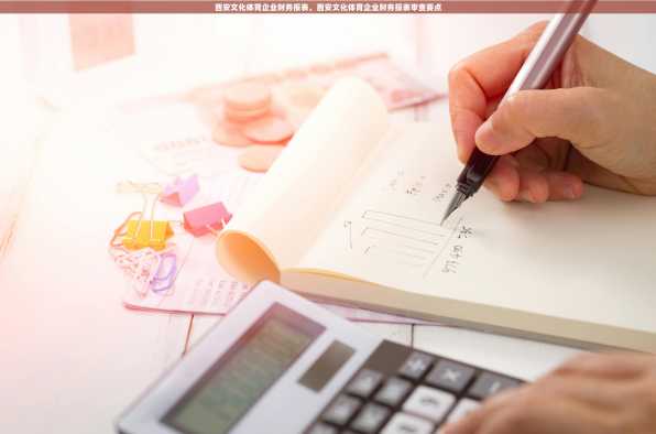 西安文化体育企业财务报表，西安文化体育企业财务报表审查要点