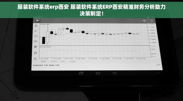 服装软件系统erp西安 服装软件系统ERP西安精准财务分析助力决策制定！