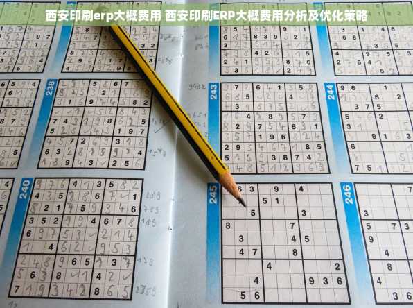 西安印刷erp大概费用 西安印刷ERP大概费用分析及优化策略