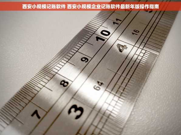 西安小规模记账软件 西安小规模企业记账软件最新年版操作指南