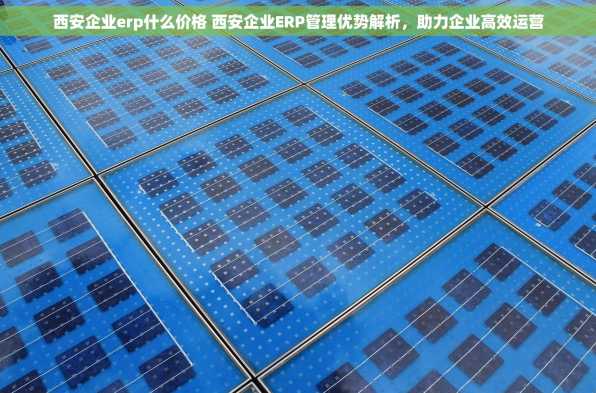 西安企业erp什么价格 西安企业ERP管理优势解析，助力企业高效运营