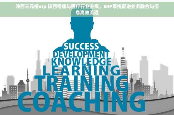 陕西三元桥erp 陕西零售与医疗行业升级，ERP系统促进业务融合与信息高效流通