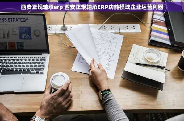 西安正规轴承erp 西安正规轴承ERP功能模块企业运营利器