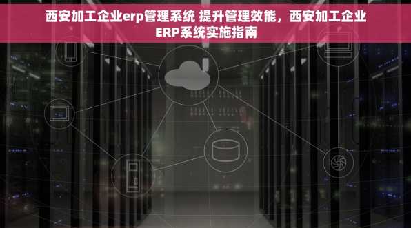 西安加工企业erp管理系统 提升管理效能，西安加工企业ERP系统实施指南