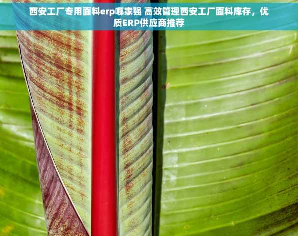 西安工厂专用面料erp哪家强 高效管理西安工厂面料库存，优质ERP供应商推荐