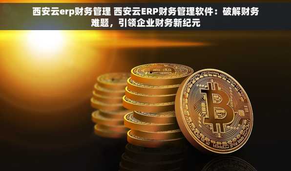 西安云erp财务管理 西安云ERP财务管理软件：破解财务难题，引领企业财务新纪元