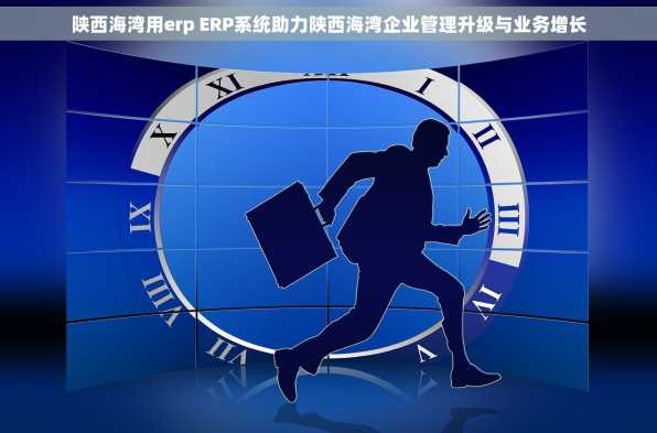 陕西海湾用erp ERP系统助力陕西海湾企业管理升级与业务增长