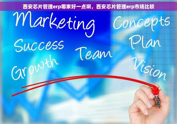 西安芯片管理erp哪家好一点啊，西安芯片管理erp市场比较