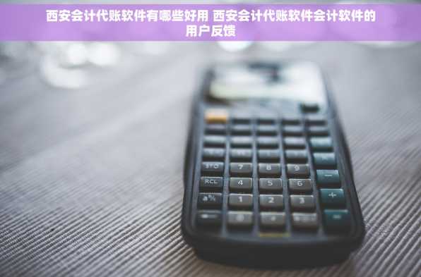 西安会计代账软件有哪些好用 西安会计代账软件会计软件的用户反馈