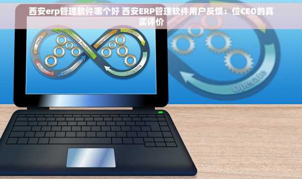 西安erp管理软件哪个好 西安ERP管理软件用户反馈：位CEO的真实评价