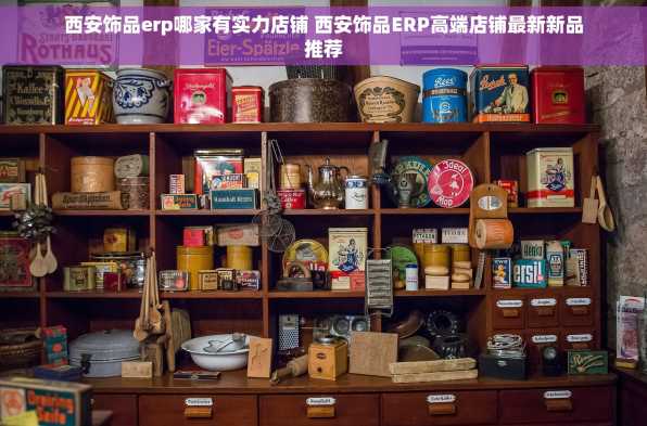 西安饰品erp哪家有实力店铺 西安饰品ERP高端店铺最新新品推荐