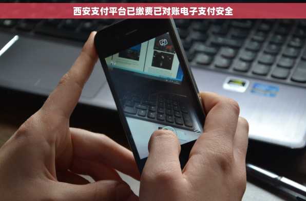 西安支付平台已缴费已对账电子支付安全