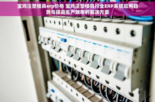 宝鸡注塑模具erp价格 宝鸡注塑模具行业ERP系统应用趋势与提高生产效率的解决方案