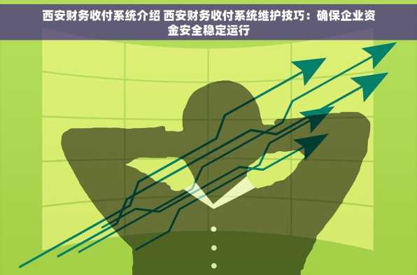 西安财务收付系统介绍 西安财务收付系统维护技巧：确保企业资金安全稳定运行