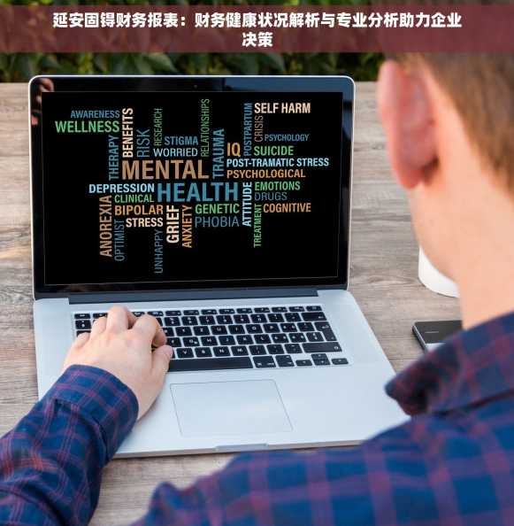 延安固锝财务报表：财务健康状况解析与专业分析助力企业决策