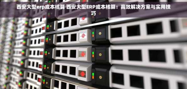西安大型erp成本核算 西安大型ERP成本核算：高效解决方案与实用技巧