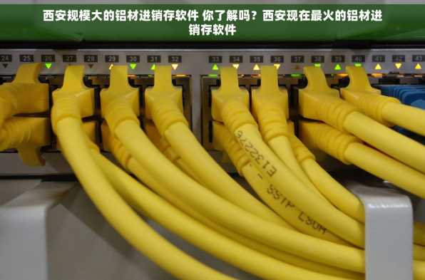 西安规模大的铝材进销存软件 你了解吗？西安现在最火的铝材进销存软件
