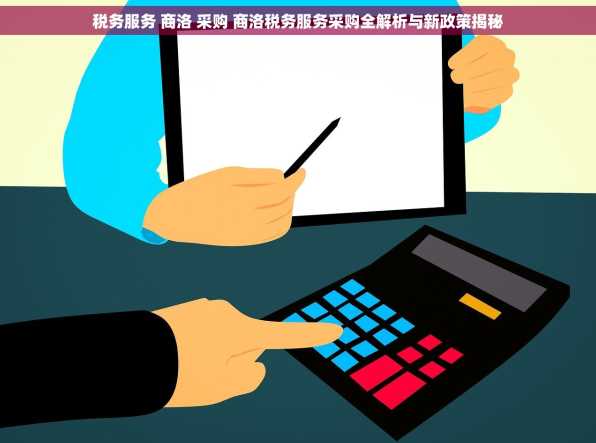 税务服务 商洛 采购 商洛税务服务采购全解析与新政策揭秘