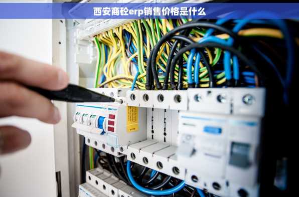 西安商砼erp销售价格是什么