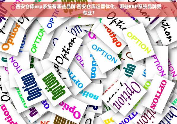 西安仓库erp系统有哪些品牌 西安仓库运营优化，哪些ERP系统品牌更专业？