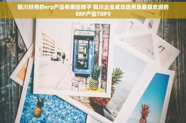 铜川好用的erp产品有哪些牌子 铜川企业成功选用及最受欢迎的ERP产品TOP5