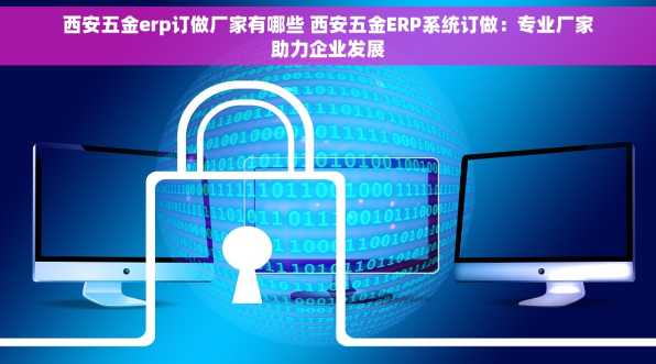 西安五金erp订做厂家有哪些 西安五金ERP系统订做：专业厂家助力企业发展