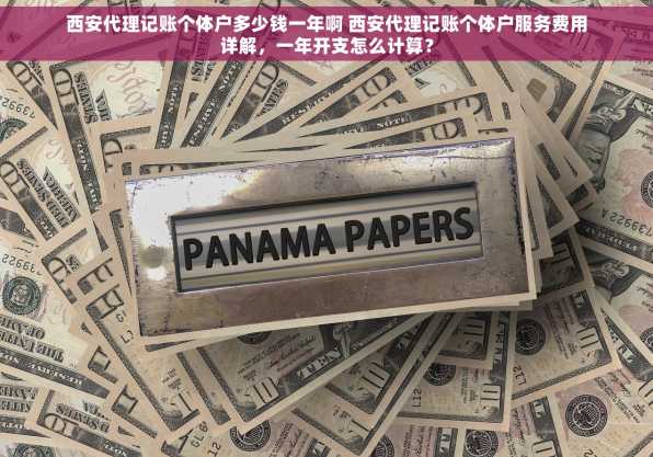 西安代理记账个体户多少钱一年啊 西安代理记账个体户服务费用详解，一年开支怎么计算？
