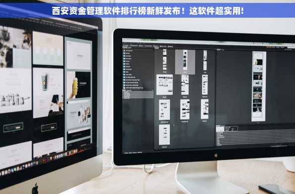 西安资金管理软件排行榜新鲜发布！这软件超实用!