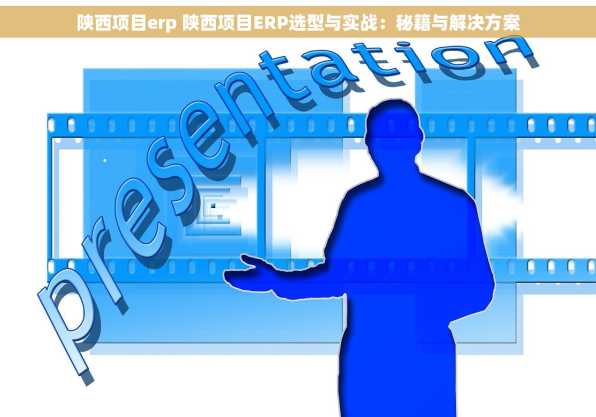 陕西项目erp 陕西项目ERP选型与实战：秘籍与解决方案