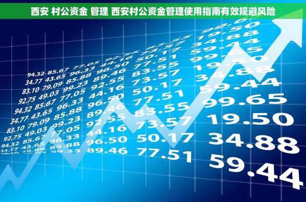 西安 村公资金 管理 西安村公资金管理使用指南有效规避风险