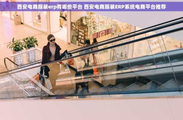 西安电商服装erp有哪些平台 西安电商服装ERP系统电商平台推荐