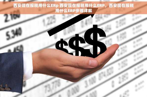 西安现在报税用什么ERp 西安现在报税用什么ERP，西安现在报税用什么ERP步骤详解