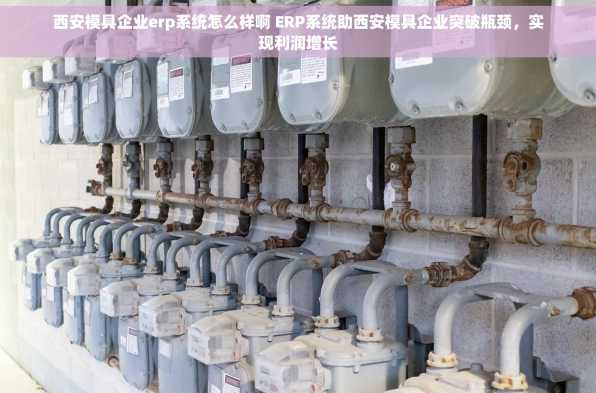 西安模具企业erp系统怎么样啊 ERP系统助西安模具企业突破瓶颈，实现利润增长