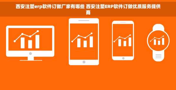 西安注塑erp软件订做厂家有哪些 西安注塑ERP软件订做优质服务提供商