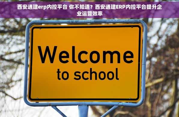 西安通建erp内控平台 你不知道？西安通建ERP内控平台提升企业运营效率