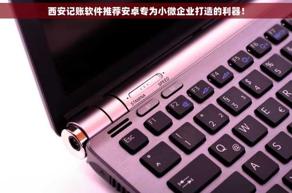 西安记账软件推荐安卓专为小微企业打造的利器！