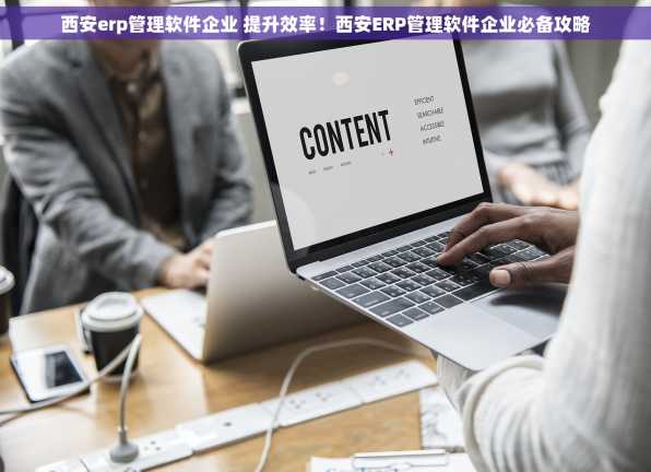 西安erp管理软件企业 提升效率！西安ERP管理软件企业必备攻略