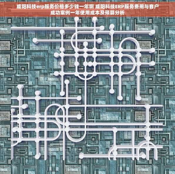 咸阳科技erp服务价格多少钱一年啊 咸阳科技ERP服务费用与客户成功案例一年使用成本及预算分析