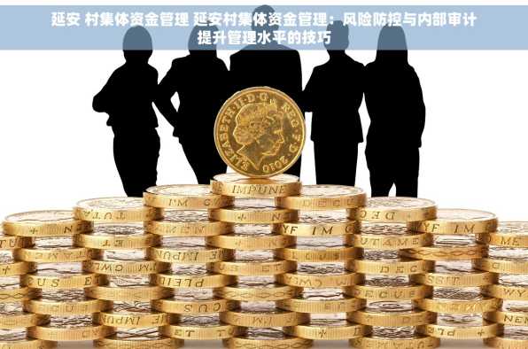 延安 村集体资金管理 延安村集体资金管理：风险防控与内部审计提升管理水平的技巧