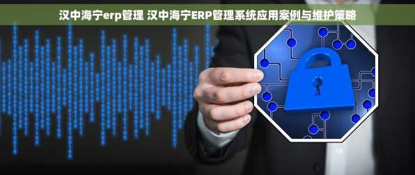 汉中海宁erp管理 汉中海宁ERP管理系统应用案例与维护策略