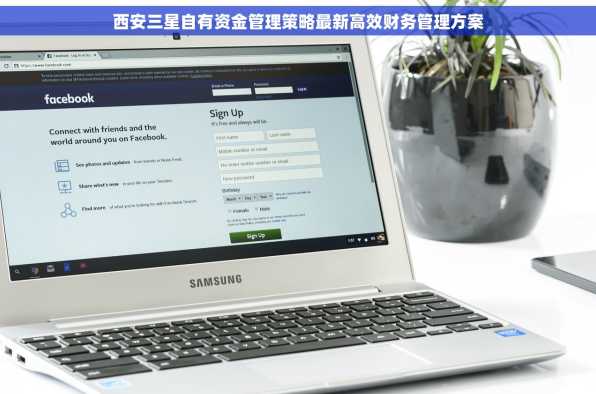 西安三星自有资金管理策略最新高效财务管理方案